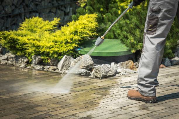 Trusted Magnolia, NJ Pressure Washing Services Experts