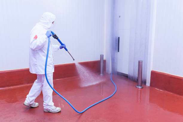 Best Sidewalk and Walkway Cleaning  in Magnolia, NJ
